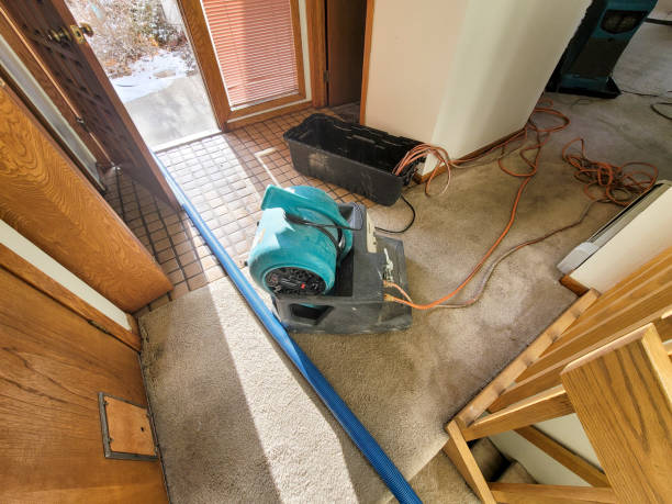 Best Sewage cleanup and water damage restoration  in Fruit Heights, UT