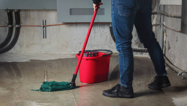 Best Local water damage restoration  in Fruit Heights, UT