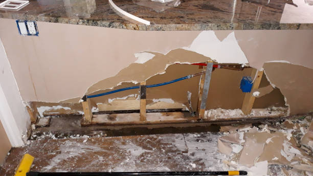 Best Water damage cleanup near me  in Fruit Heights, UT