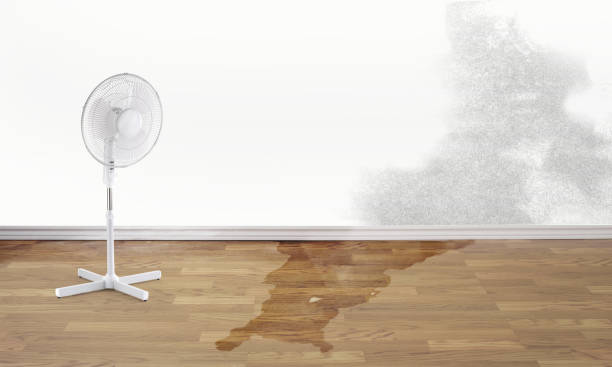 Best Flooded house restoration  in Fruit Heights, UT