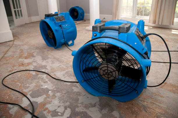 Best Emergency water damage restoration  in Fruit Heights, UT