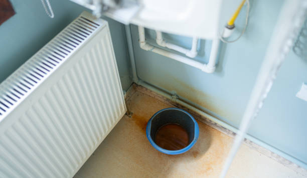 Best Water damage cleanup near me  in Fruit Heights, UT