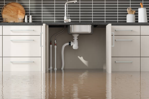 Best Fire Damage Restoration  in Fruit Heights, UT