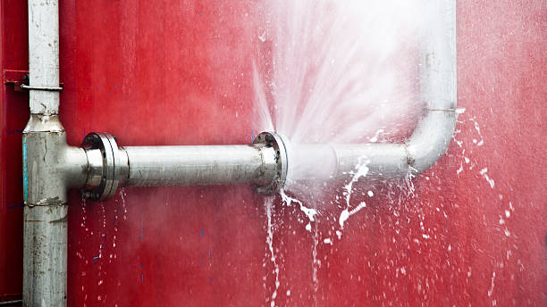 Best Ceiling water damage repair  in Fruit Heights, UT